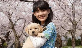 娱乐吃瓜酱女生养的狗,揭秘娱乐吃瓜酱女生的心头爱宠