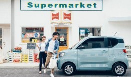 五菱新能源爆料视频大全,揭秘全新车型与绿色出行未来”